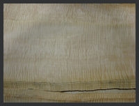 Curly Maple Veneer