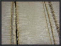 Curly Maple Veneer